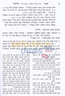 שבת כהלכה חלק ד