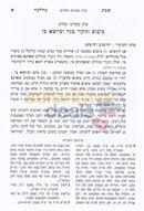 שבת כהלכה חלק ד