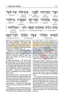 Schottenstein Edition Interlinear Megillah - Softcover