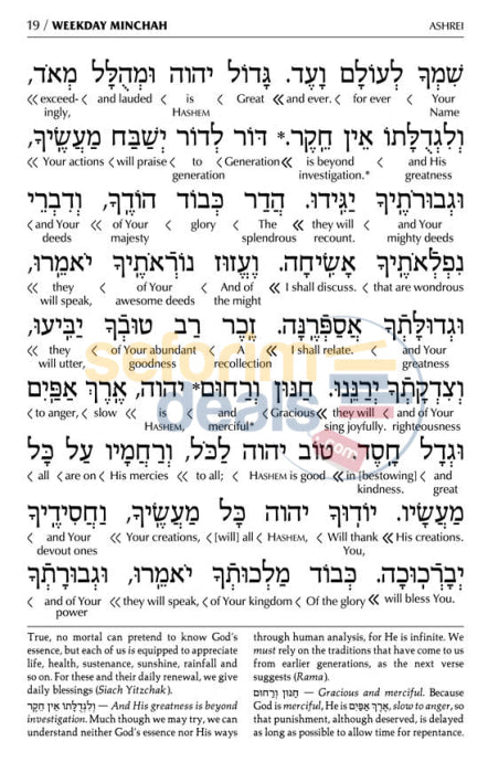 Siddur Interlinear Weekday Full Size - Ashkenaz Schottenstein Edition Hardcover