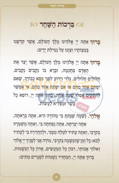 Sidduri Hachasidi - Boys Hebrew Only