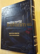 שליחות כהלכתה