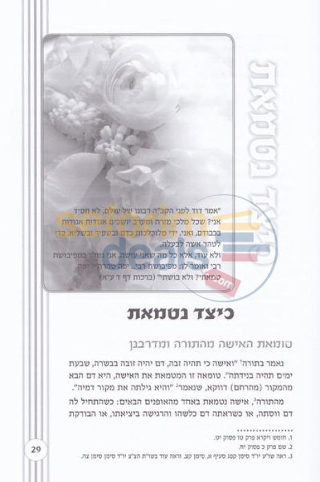 Shemiras Hataharah -