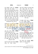 שעשועי מנחם