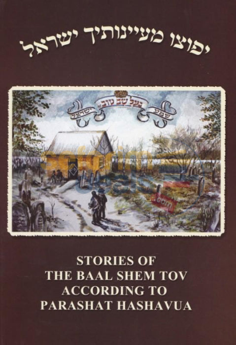 Stories Of The Baal Shem Tov According To Parsha