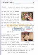 סימני טהרה בבהמה ובחיה
