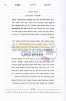 Techumei Shabbos -