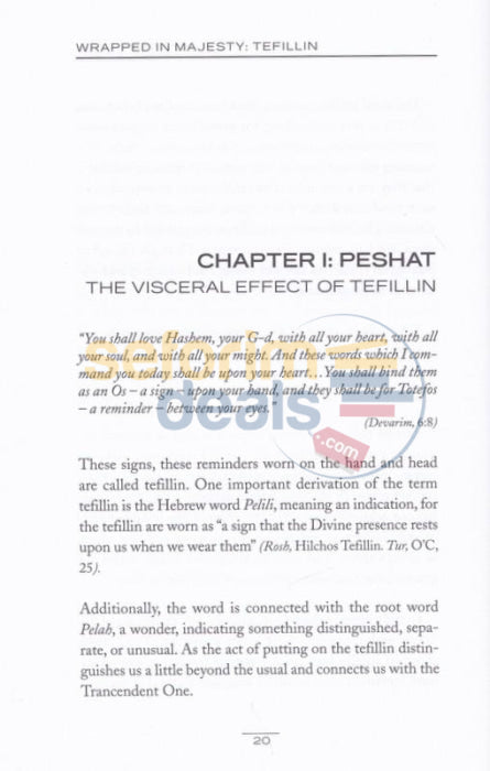 Tefillin - Wrapped In Majesty Exploring The Mystery