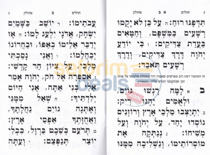 Tehillim Mecholet -