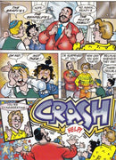 The Adventures Of Mendy In A Passover Special - Comics (Softcover)