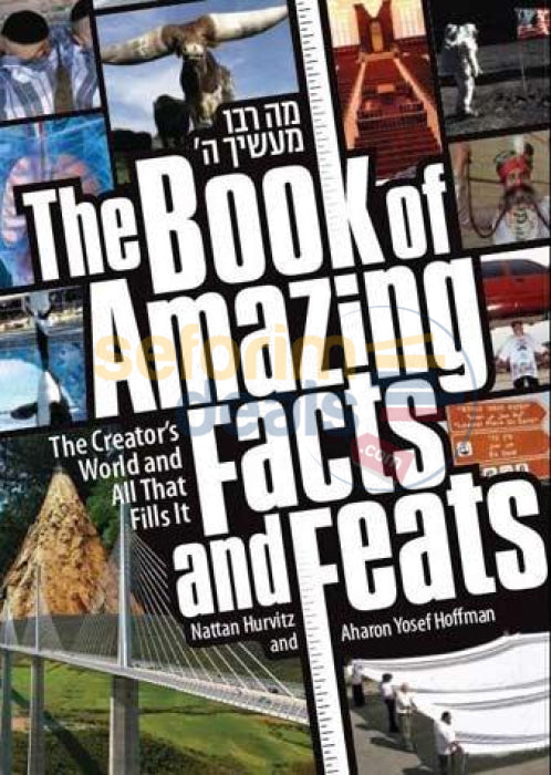 The Book Of Amazing Facts And Feats