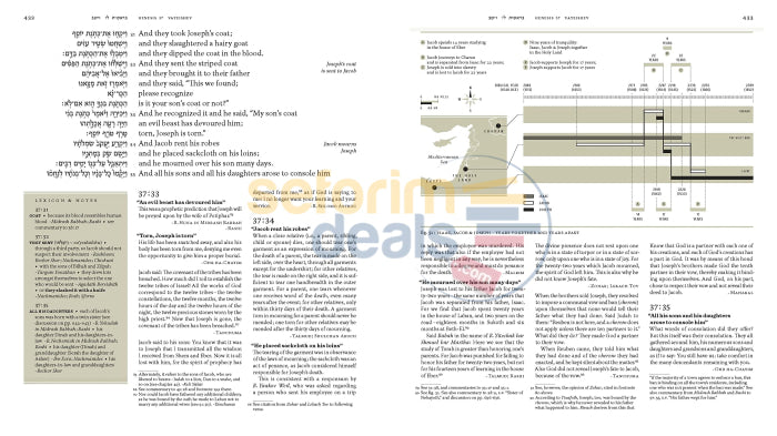 The Book Of Genesis With Commentary