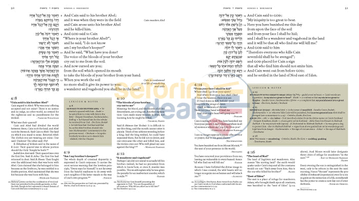 The Book Of Genesis With Commentary