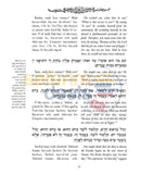 The Haggadah - Transliterated & Translated