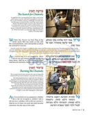 The Illustrated Haggadah - Hardcover