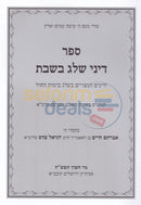 The Laws Of Snow On Shabbat -