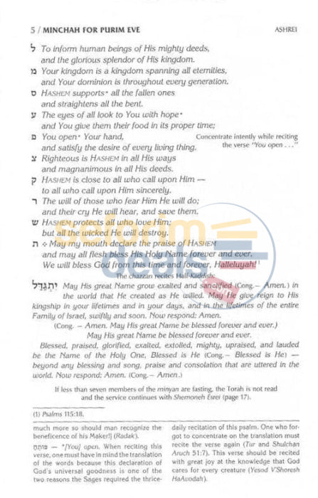 The Lipman Edition Megillah With The Complete Purim Evening Services