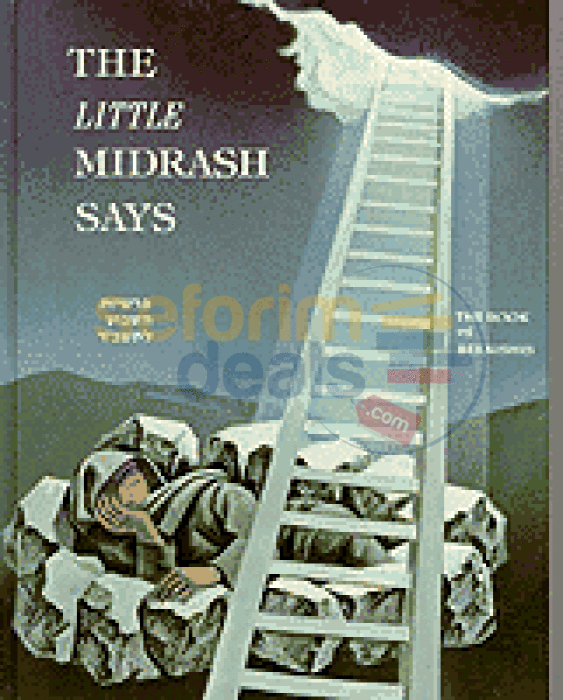 The Little Midrash Says - Beraishis