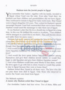 The Little Midrash Says - Shemos