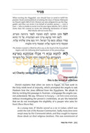 The Reb Moshe Haggadah