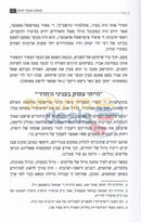 The Rebbes Bar Mitzva -