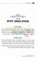 The Rebbes Bar Mitzva -