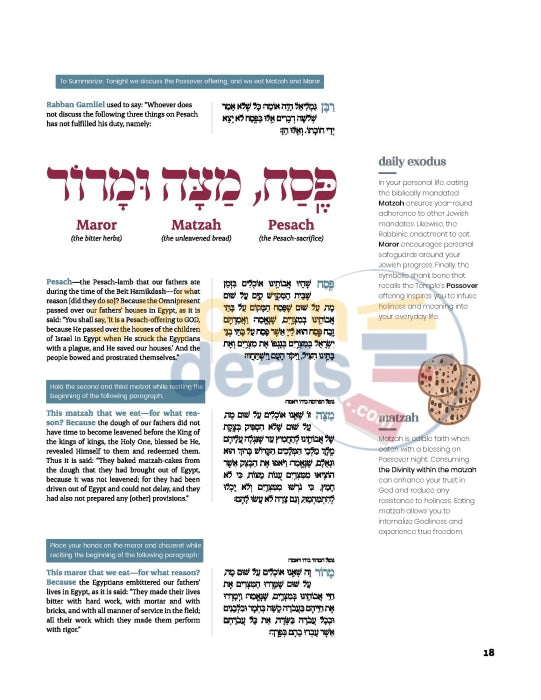 The Story Of Your Freedom - Passover Haggadah