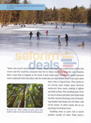 The Wonders Of Creation