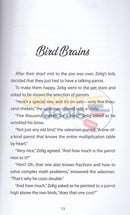 The Zanny World Of Zelig Jokenstein