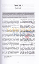 Tiferet Yisrael - The Maharal Of Prague