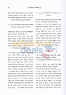 Vayochach Amesh -
