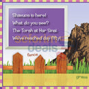 What Do You See On Shavuos