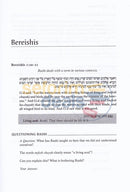 Whats Bothering Rashi - Vol. 2