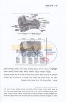 אוזן עבדך