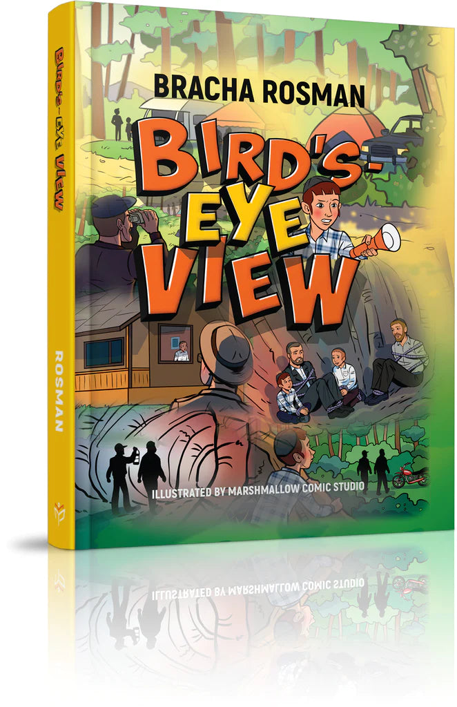 Bird's Eye View - Comics