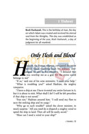 A Story Day: Vol. 2 - Kislev Teves