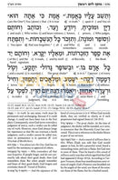 Artscroll Schottenstein Edition Ashkenaz Interlinear Machzor Full Size - 2 Vol. Set