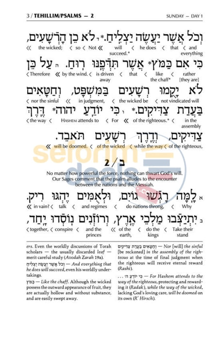 Artscroll Schottenstein Edition Interlinear Tehillim-Psalms Full Size