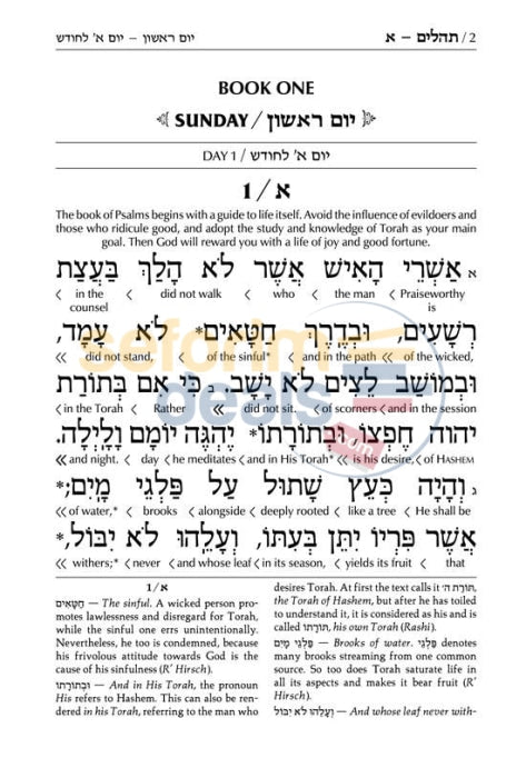 Artscroll Schottenstein Edition Interlinear Tehillim-Psalms Full Size