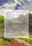 Bedtime Parsha Bereshis