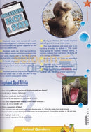 Exploring The Wet And Wild Underwater World