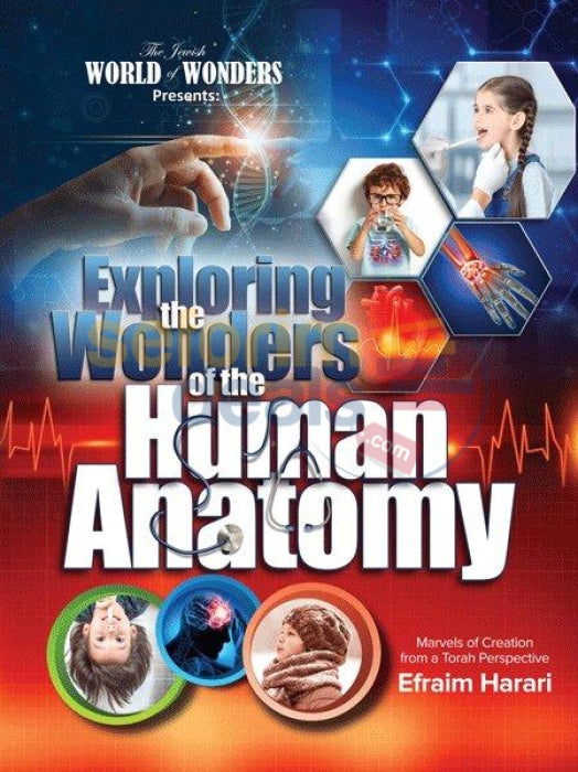 Exploring The Wonders Of Human Anatomy