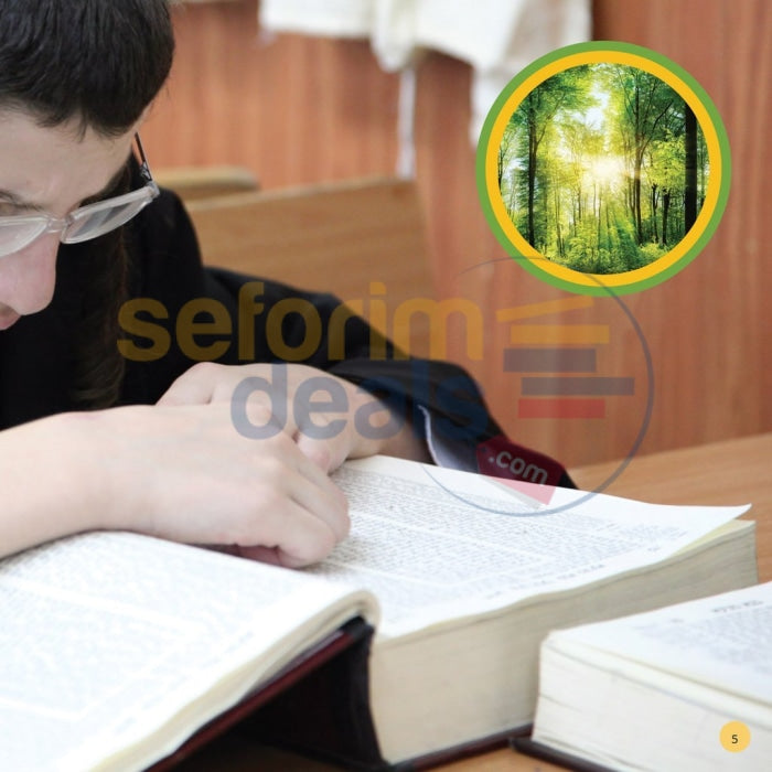 From Wood To Sefer