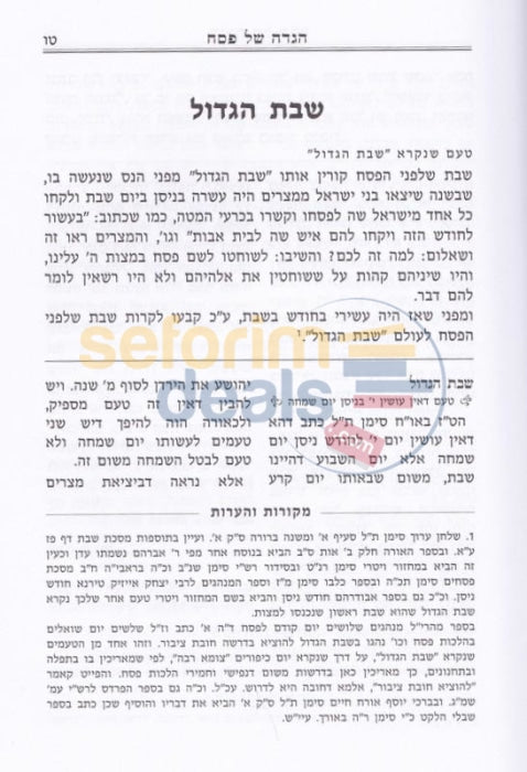Haggadah Shel Pesach - Rabbi Moshe Feinstein