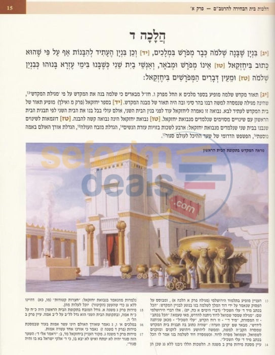 Hilchos Beis Habechirah - With Pictures