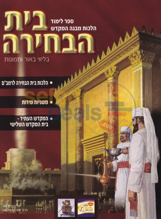 Hilchos Beis Habechirah - With Pictures
