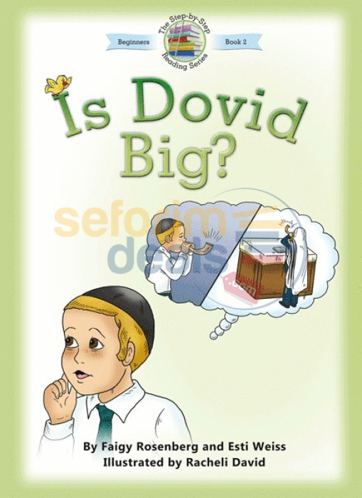 Is Dovid Big
