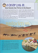 Its Amazing! - Animal Kingdom