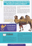 Its Amazing! - Animal Kingdom