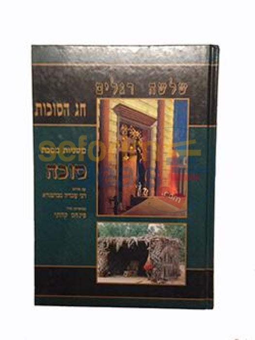 Kehati Mishnayos With Pictures: Sukkah
